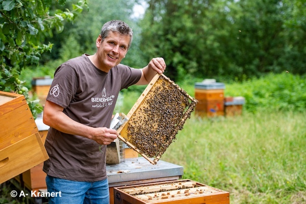 Imker Dr. Wöll steht an einem offenen Bienenvolk